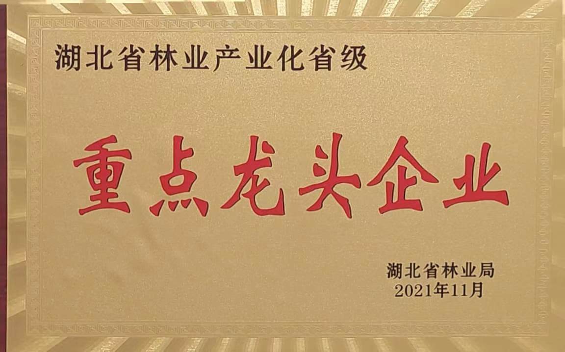 省林業(yè)產(chǎn)業(yè)化重點龍頭企業(yè)（2021.11）.jpg